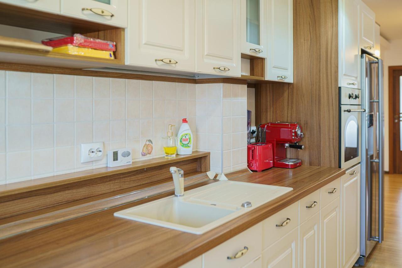 5* Mansion In City Center Κλουζ-Ναπόκα Εξωτερικό φωτογραφία